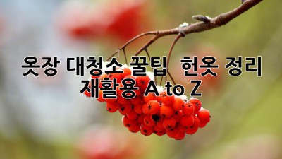 옷장 대청소 꿀팁 👕✨ 헌옷 정리 & 재활용 A to Z